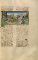 La terra dell